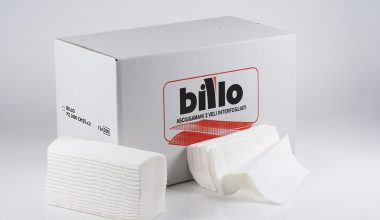 Asciugamani piegato a V 2 veli Asciugamani piegato a V 2 veli